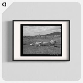 アートポスター-Goats Near Questa
 - ラッセル リー Poster.