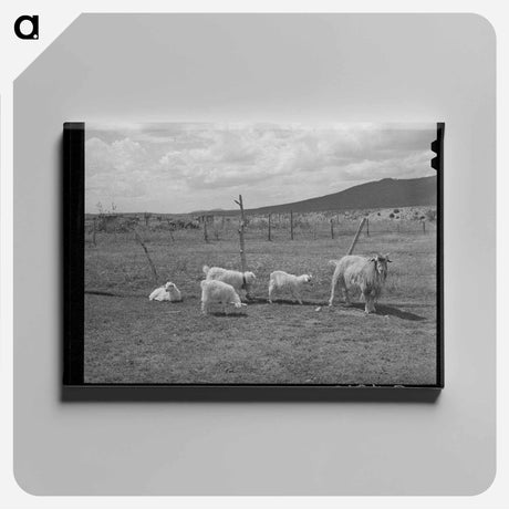 アートパネル-Goats Near Questa
 - ラッセル リー Canvas.