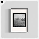 Untitled photo - Dorothea Lange Poster.