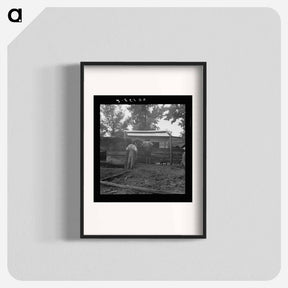 アートポスター-Untitled photo, possibly related to: Noon time chores of tenant farmer: feeding the pigs. Granville County, North Carolina - ドロテア ラング Poster.