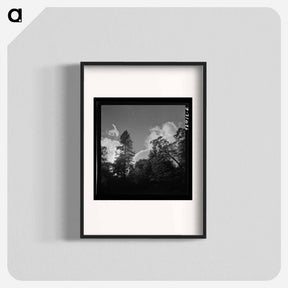 アートポスター-Shasta County Trees and Clouds
 - ラッセル リー Poster.