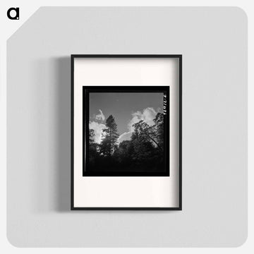 Shasta County Trees and Clouds
 - ラッセル リー Poster.