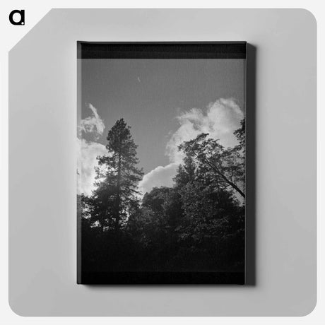 アートパネル-Shasta County Trees and Clouds
 - ラッセル リー Canvas.
