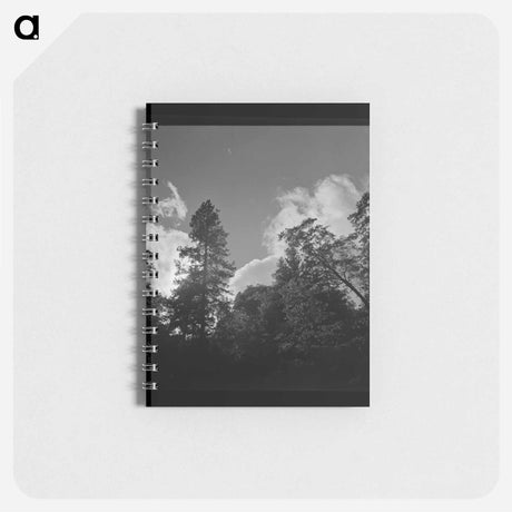アートメモ帳-Shasta County Trees and Clouds
 - ラッセル リー Memo.