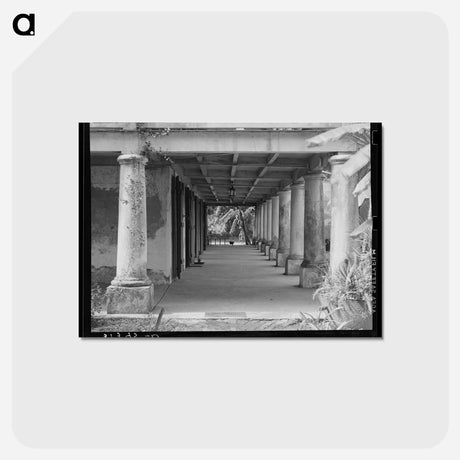 アートポストカード-Verandah of Plantation House
 - ラッセル リー Postcard.