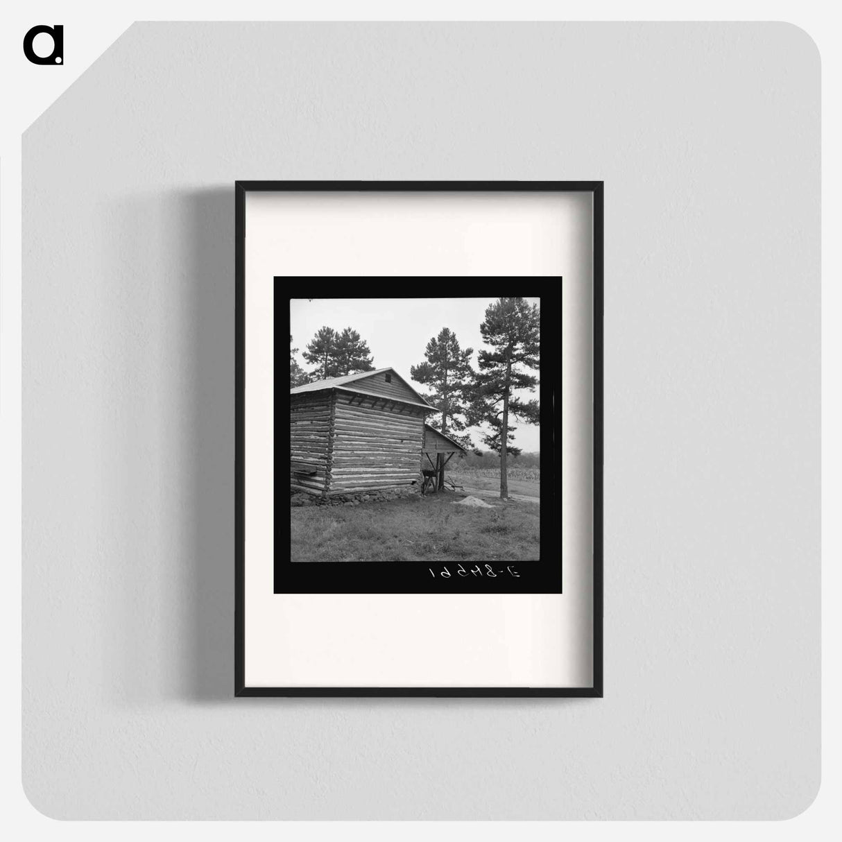 Sharecropper tobacco barn - Dorothea Lange Poster.