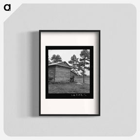 アートポスター-Sharecropper tobacco barn - ドロテア ラング Poster.
