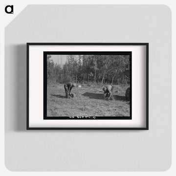 Threshing Hands
 - ラッセル リー Poster.