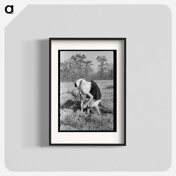 Children of Sharecropper with Sweet Potatoes
 - ラッセル リー Poster.