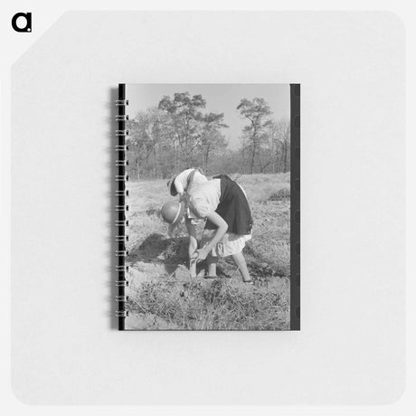 アートメモ帳-Children of Sharecropper with Sweet Potatoes
 - ラッセル リー Memo.