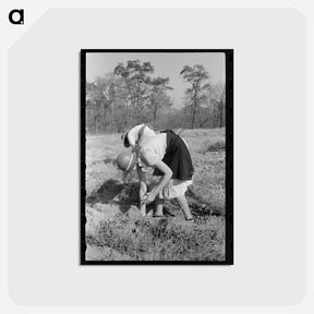 アートポストカード-Children of Sharecropper with Sweet Potatoes
 - ラッセル リー Postcard.