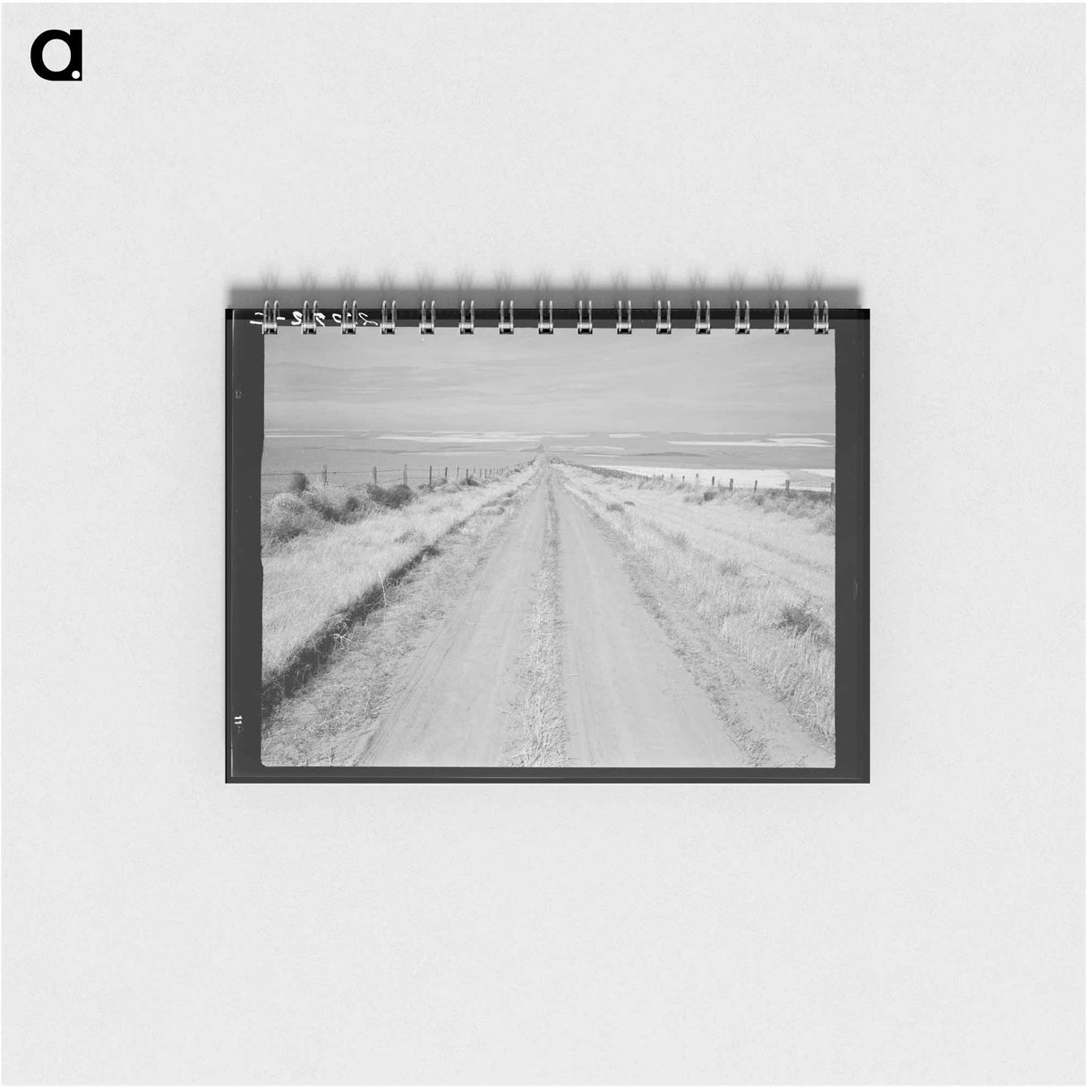 Untitled photo - ドロテア ラング Memo.