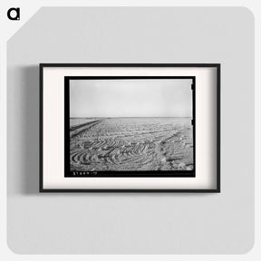 アートポスター-Rice Field Near Crowley
 - ラッセル リー Poster.