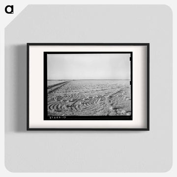 Rice Field Near Crowley
 - ラッセル リー Poster.