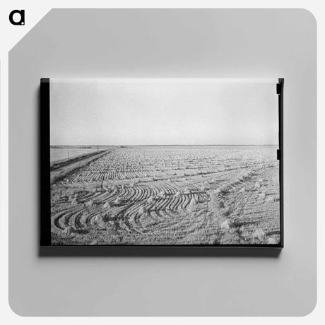 アートパネル-Rice Field Near Crowley
 - ラッセル リー Canvas.