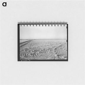 アートメモ帳-Rice Field Near Crowley
 - ラッセル リー Memo.