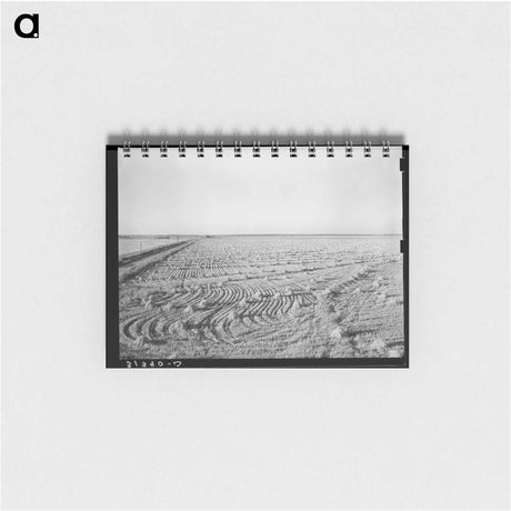 アートメモ帳-Rice Field Near Crowley
 - ラッセル リー Memo.