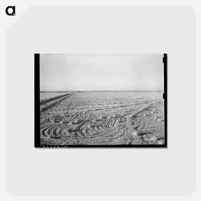 アートポストカード-Rice Field Near Crowley
 - ラッセル リー Postcard.