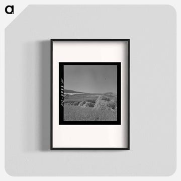 Oats
 - ラッセル リー Poster.