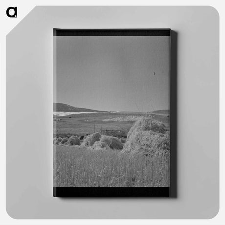 アートパネル-Oats
 - ラッセル リー Canvas.