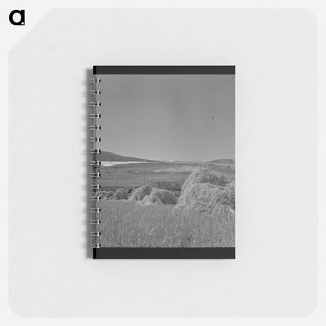 アートメモ帳-Oats
 - ラッセル リー Memo.