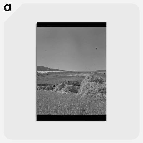 アートポストカード-Oats
 - ラッセル リー Postcard.