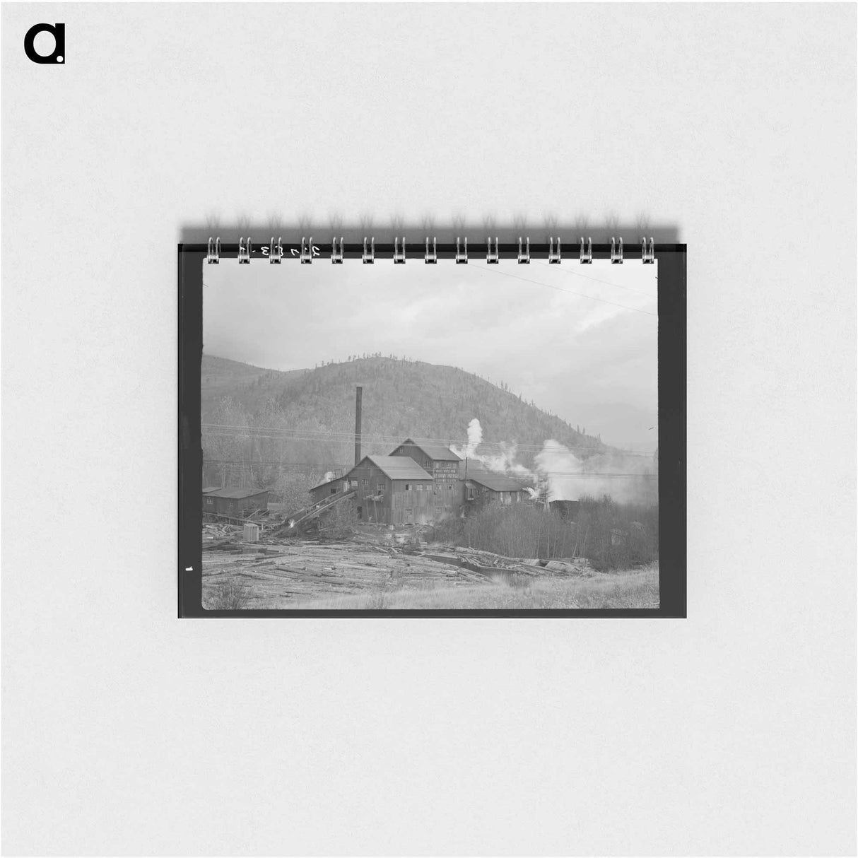 Untitled photo - ドロテア ラング Memo.