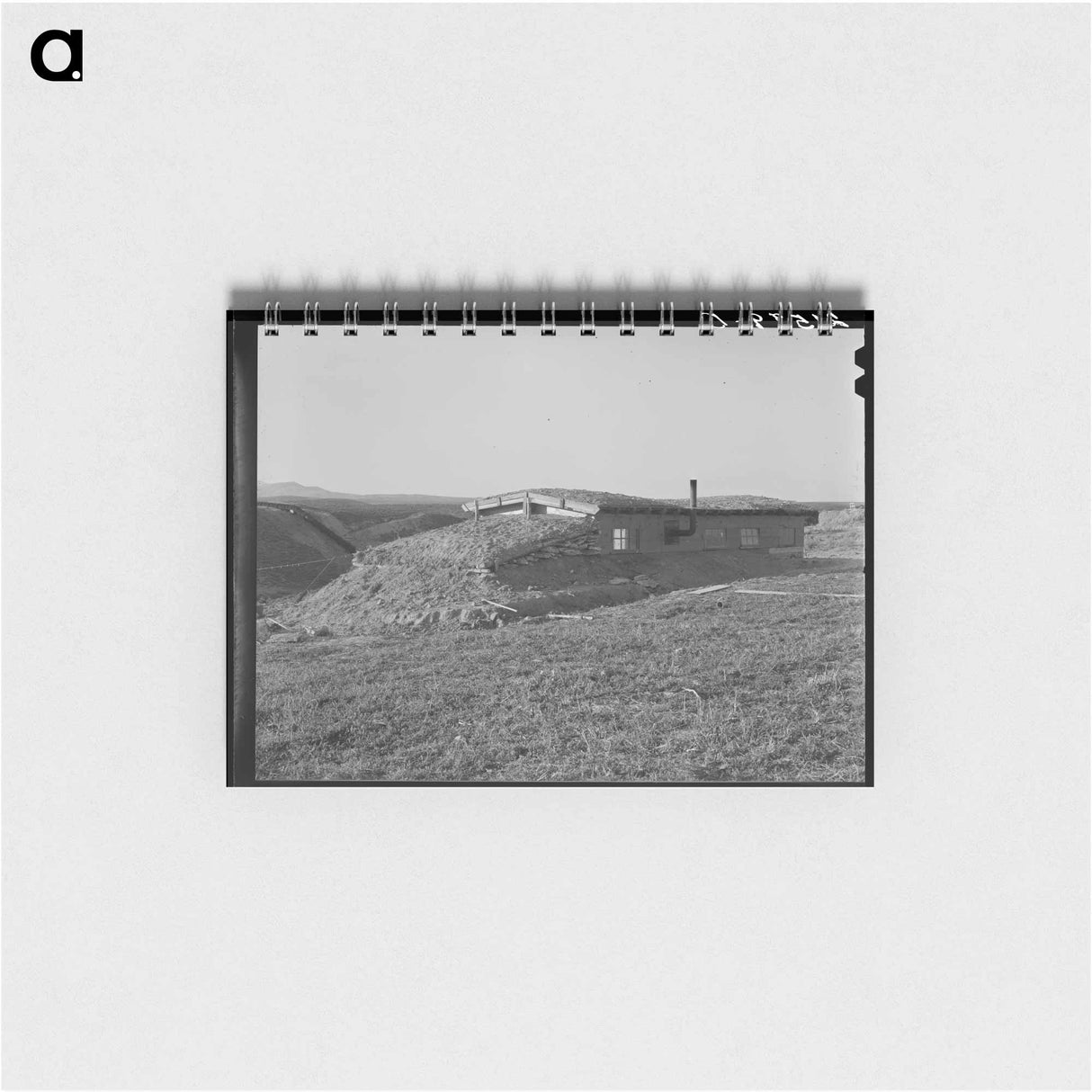 Untitled photo - ドロテア ラング Memo.