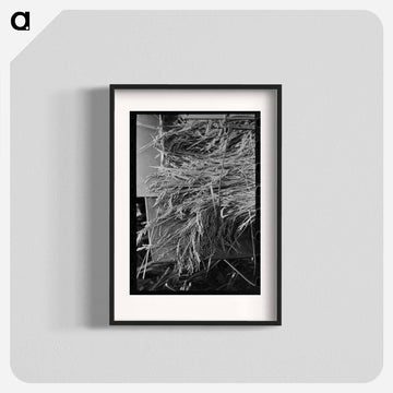 Louisiana Rice Harvest
 - ラッセル リー Poster.