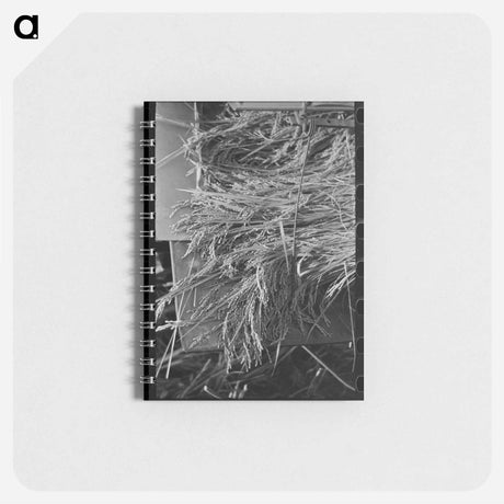 アートメモ帳-Louisiana Rice Harvest
 - ラッセル リー Memo.