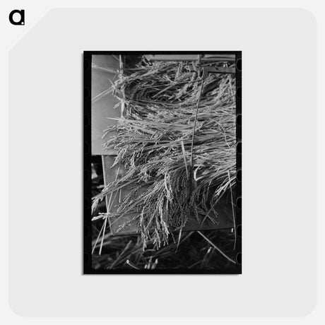 アートポストカード-Louisiana Rice Harvest
 - ラッセル リー Postcard.