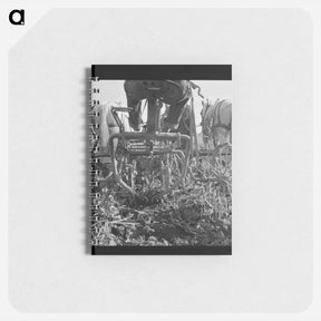 アートメモ帳-Untitled photo - ドロテア ラング Memo.