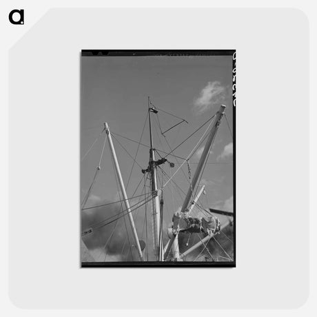 アートポストカード-Cotton Export, Port of Houston
 - ラッセル リー Postcard.