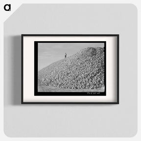 アートポスター-Sugar Beets, Canyon County
 - ラッセル リー Poster.