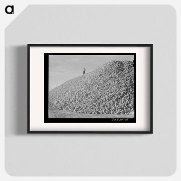 Sugar Beets, Canyon County
 - ラッセル リー Poster.