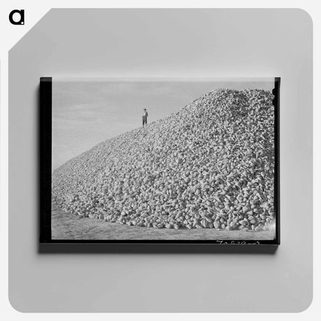 アートパネル-Sugar Beets, Canyon County
 - ラッセル リー Canvas.