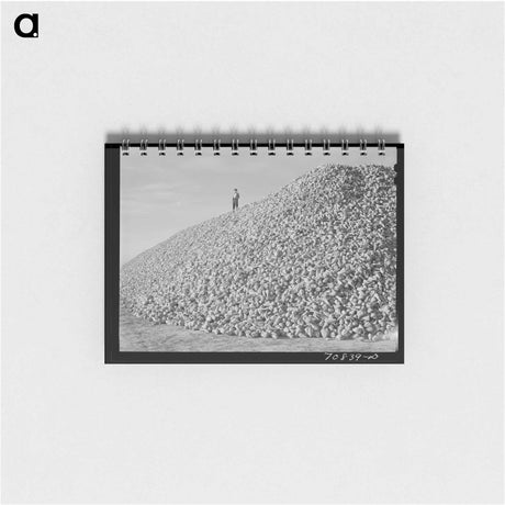 アートメモ帳-Sugar Beets, Canyon County
 - ラッセル リー Memo.