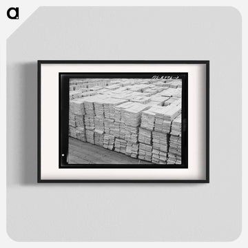 Anaconda Zinc Plant
 - ラッセル リー Poster.