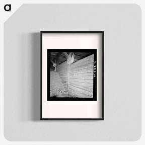 アートポスター-Untitled photo, possibly related to: Potatoes in storage cellar at end of season. - ドロテア ラング Poster.