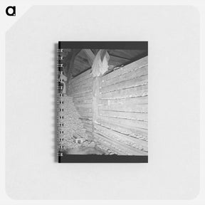 アートメモ帳-Untitled photo, possibly related to: Potatoes in storage cellar at end of season. - ドロテア ラング Memo.