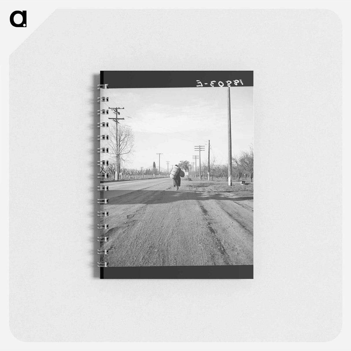 Untitled photo - ドロテア ラング Memo.