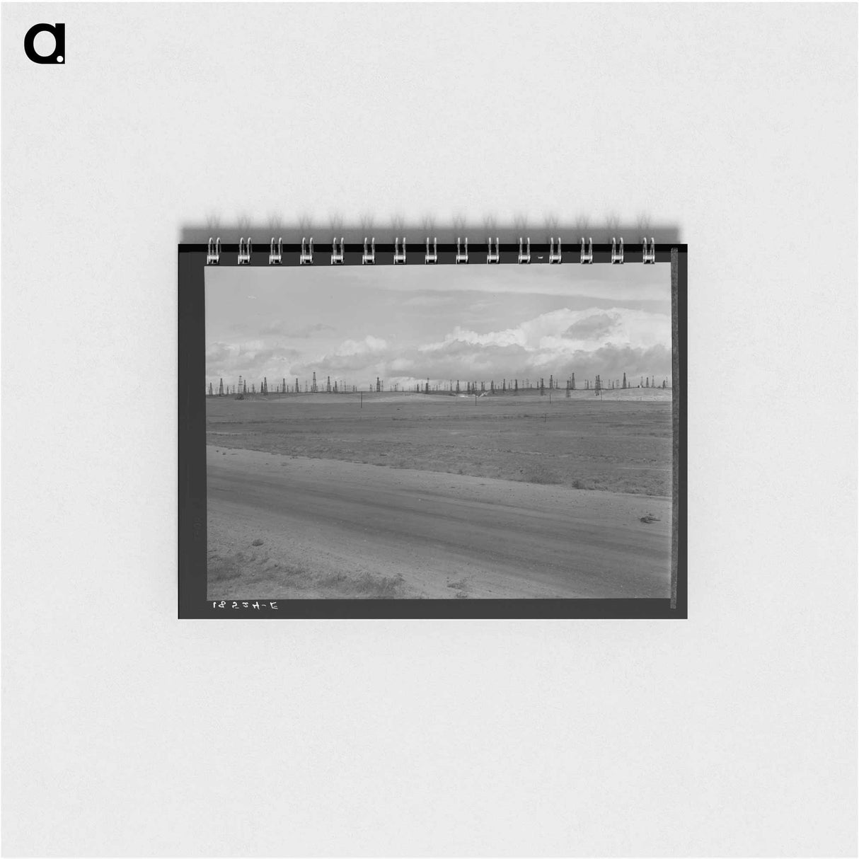 Untitled photo - ドロテア ラング Memo.