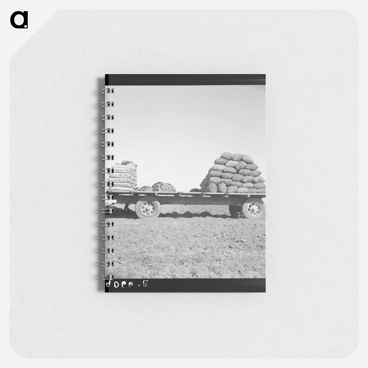 Untitled photo - ドロテア ラング Memo.
