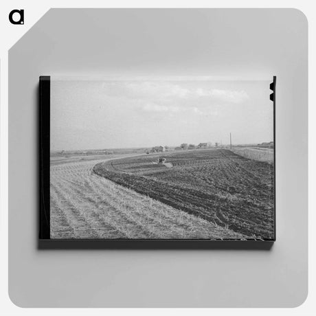 アートパネル-Cornfield, McLennan County
 - ラッセル リー Canvas.