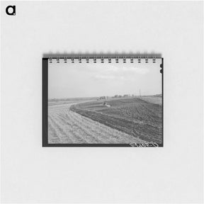 アートメモ帳-Cornfield, McLennan County
 - ラッセル リー Memo.