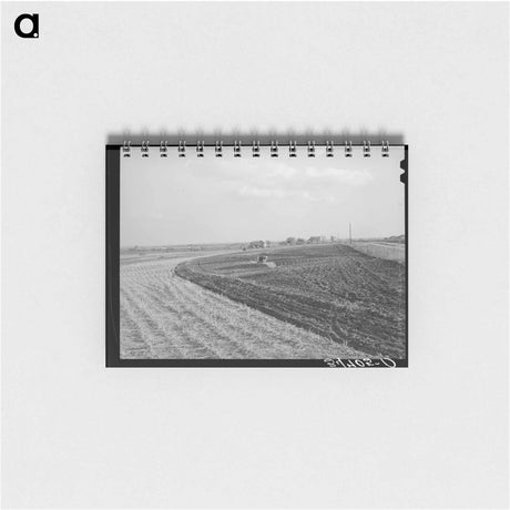 アートメモ帳-Cornfield, McLennan County
 - ラッセル リー Memo.