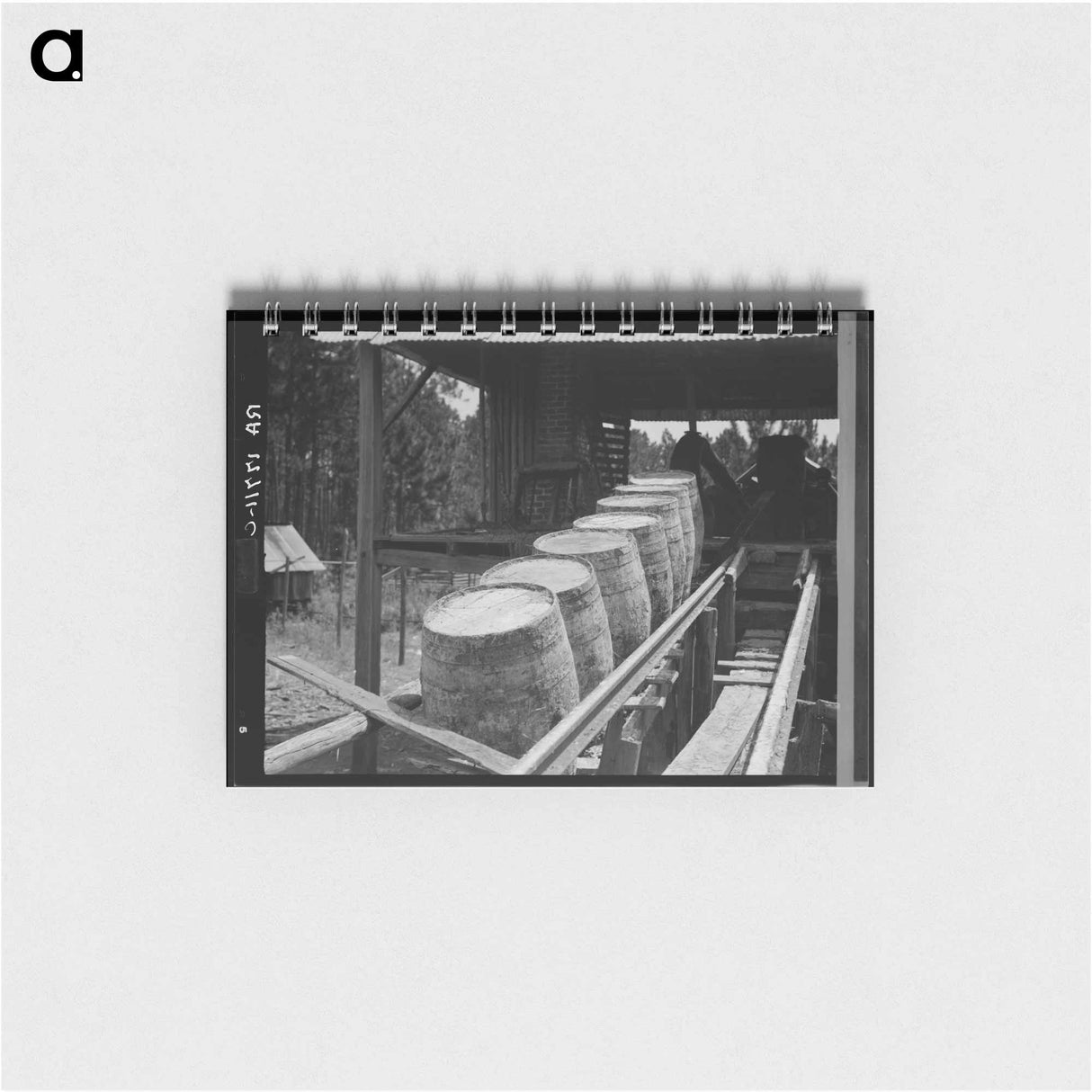 Untitled photo - ドロテア ラング Memo.
