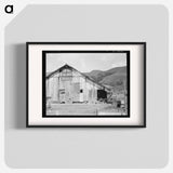 Farmyard of small Italian farmer - Dorothea Lange Poster.