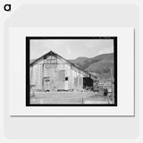 Farmyard of small Italian farmer - Dorothea Lange Poster.