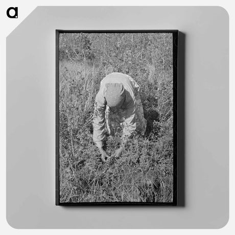アートパネル-Blueberry Picker
 - ラッセル リー Canvas.